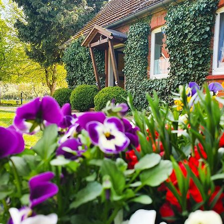 Am Alten Haus Altenmedingen ภายนอก รูปภาพ