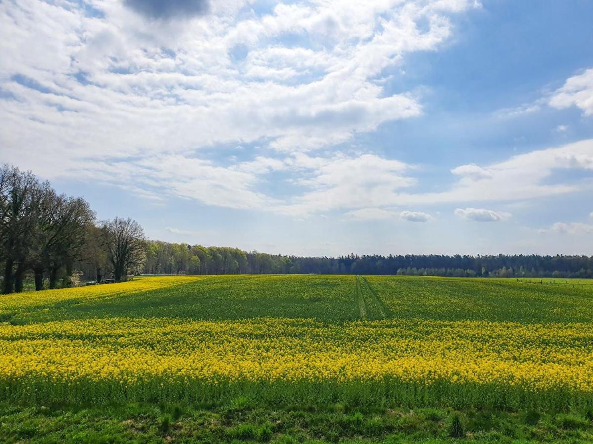Am Alten Haus Altenmedingen ภายนอก รูปภาพ